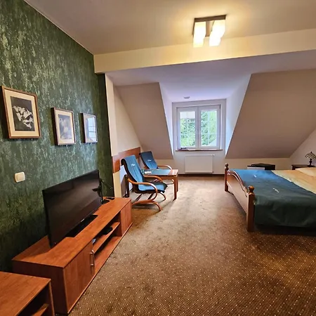 Pensjonat Lesny Dworek Spa & Garden Uzdrowisko Wsrod Natury Цисув Екстер'єр фото