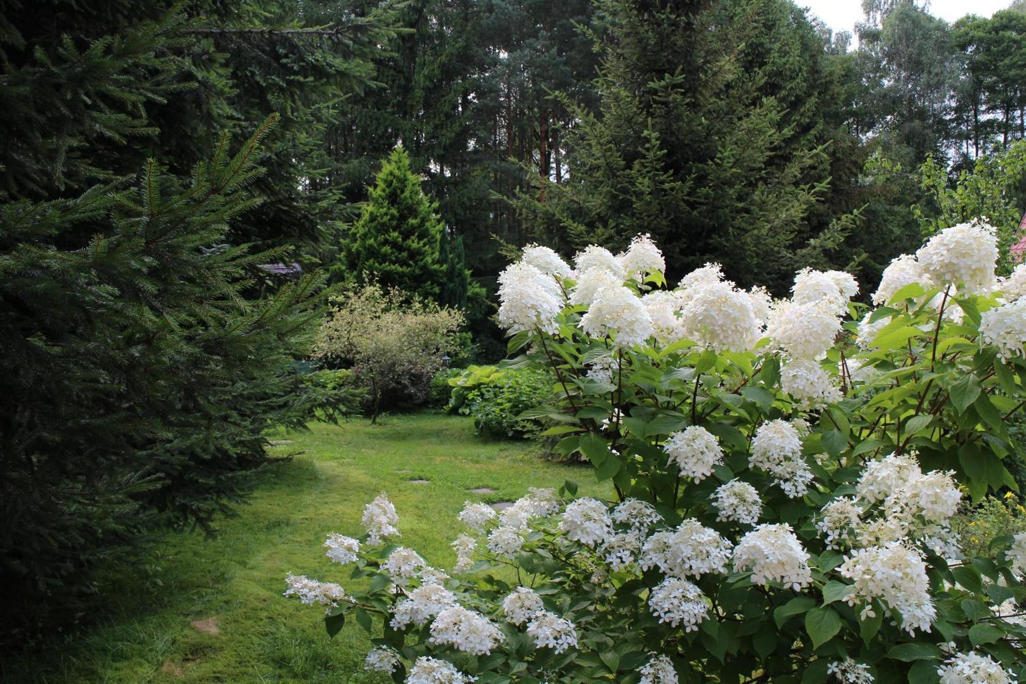 Гостьовий будинок Lesny Dworek & Garden Uzdrowisko Wsrod Natury Цисув