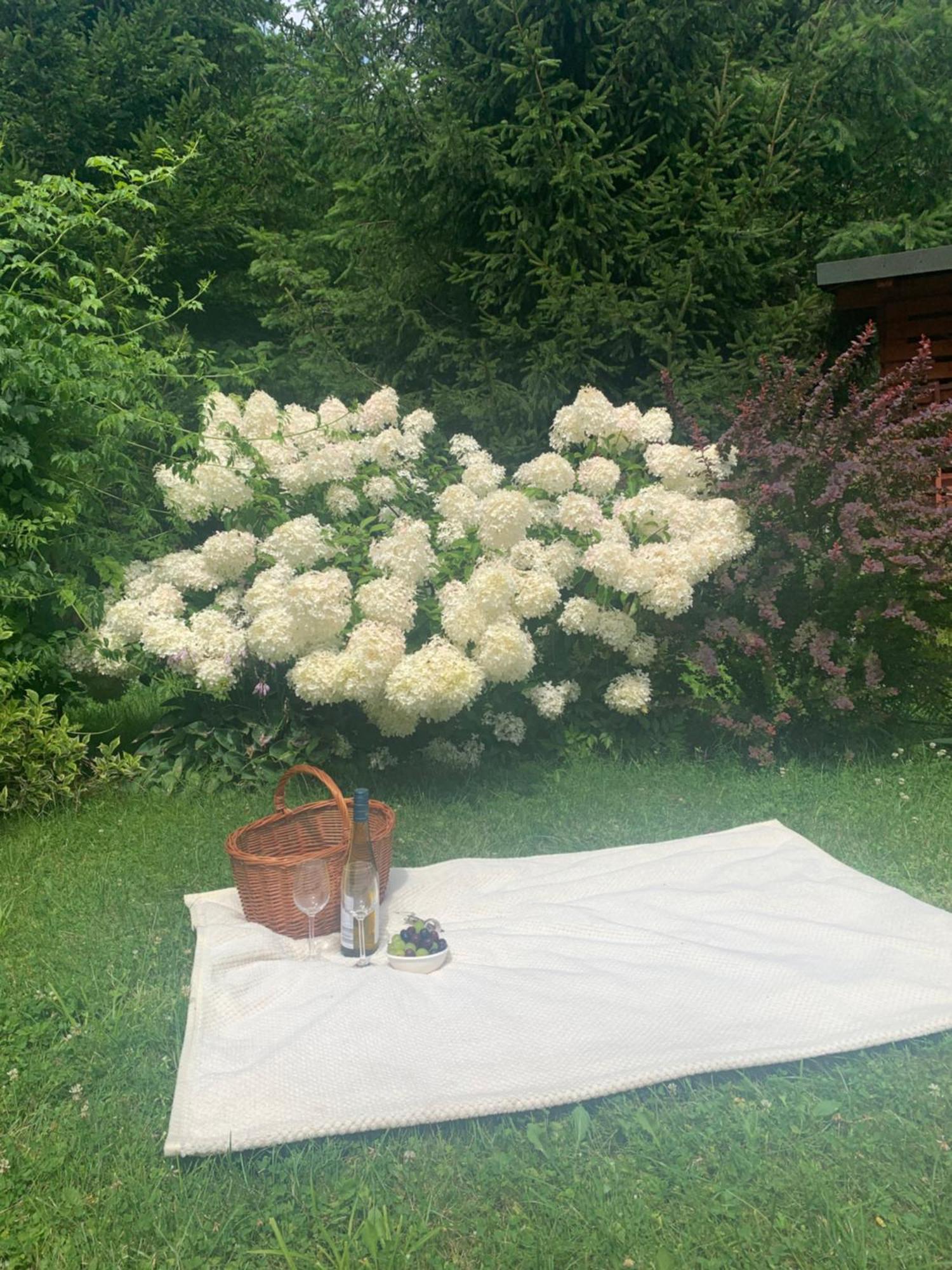 Penzion Lesny Dworek & Garden Uzdrowisko Wsrod Natury Cisów